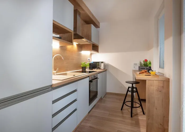 Flexihome Sk - Bellova - Brand New - Neftflix - Private Parking *